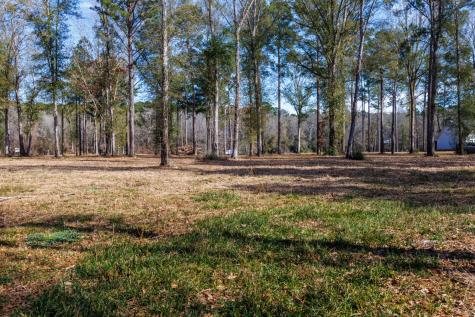 Tbd (Lot 4) County Road 3545 Joaquin TX 75954