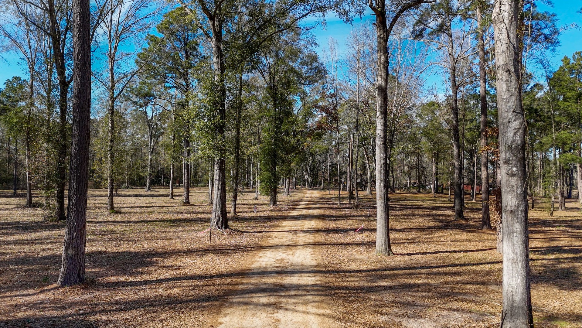 Tbd (Lot 4) County Road 3545 Joaquin TX 75954