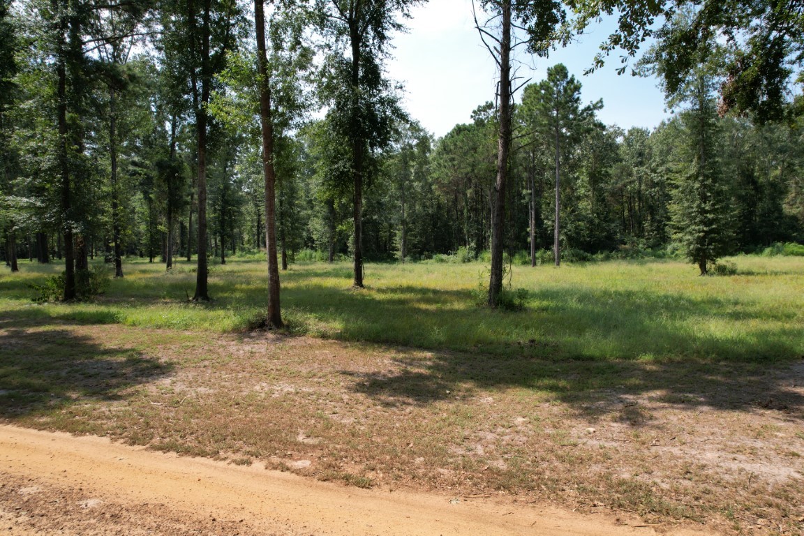 Tbd (Lot 4) County Road 3545 Joaquin TX 75954