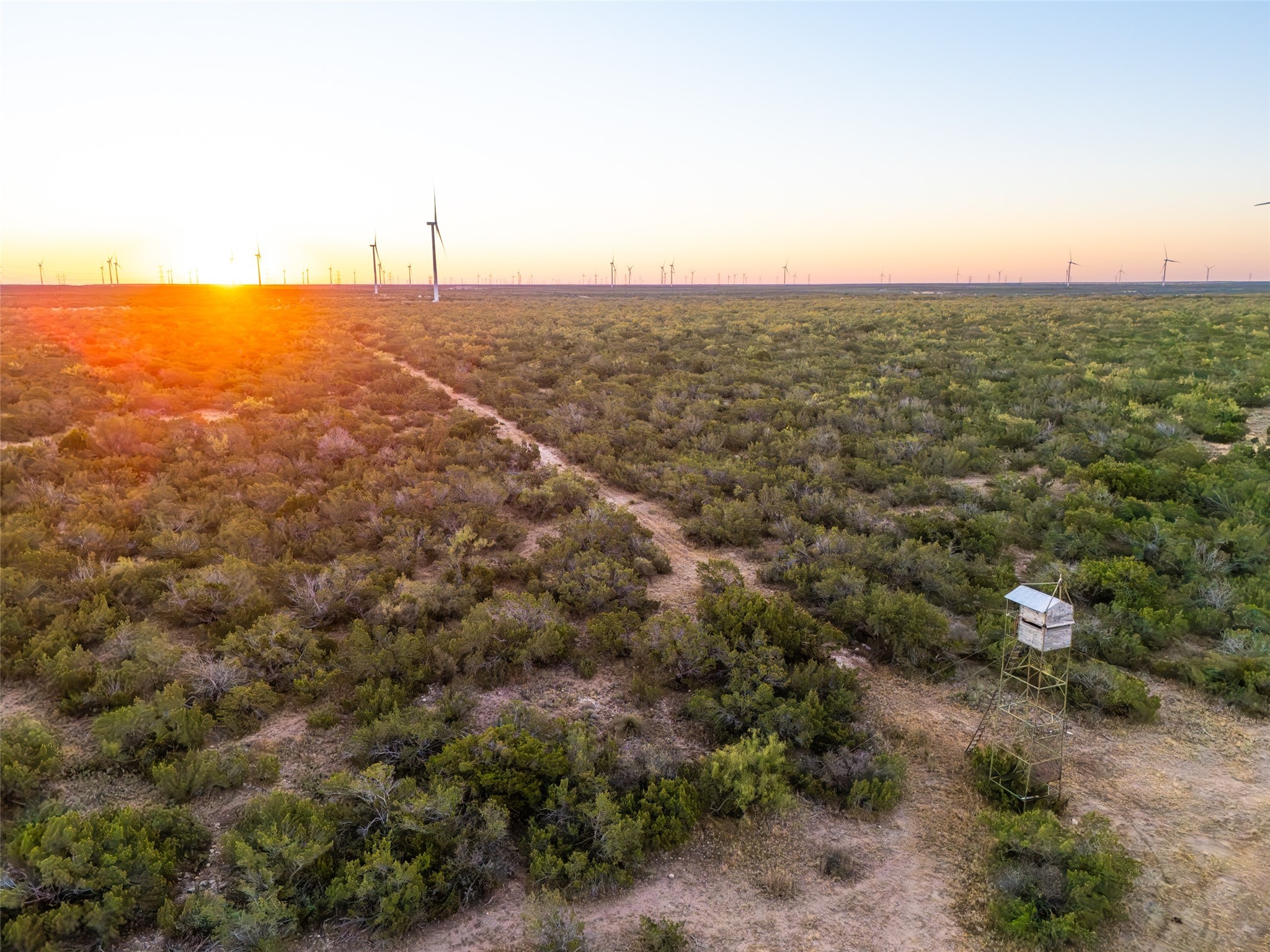 Tbd Walnut Road Robert Lee TX 76945