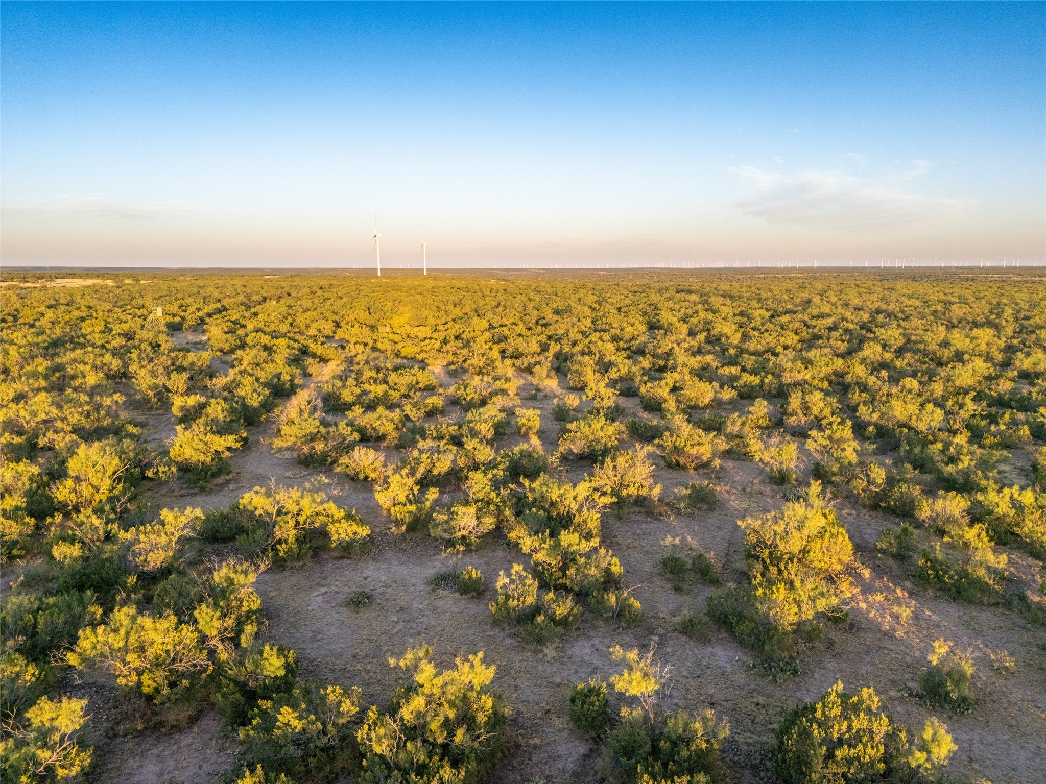 Tbd Walnut Road Robert Lee TX 76945
