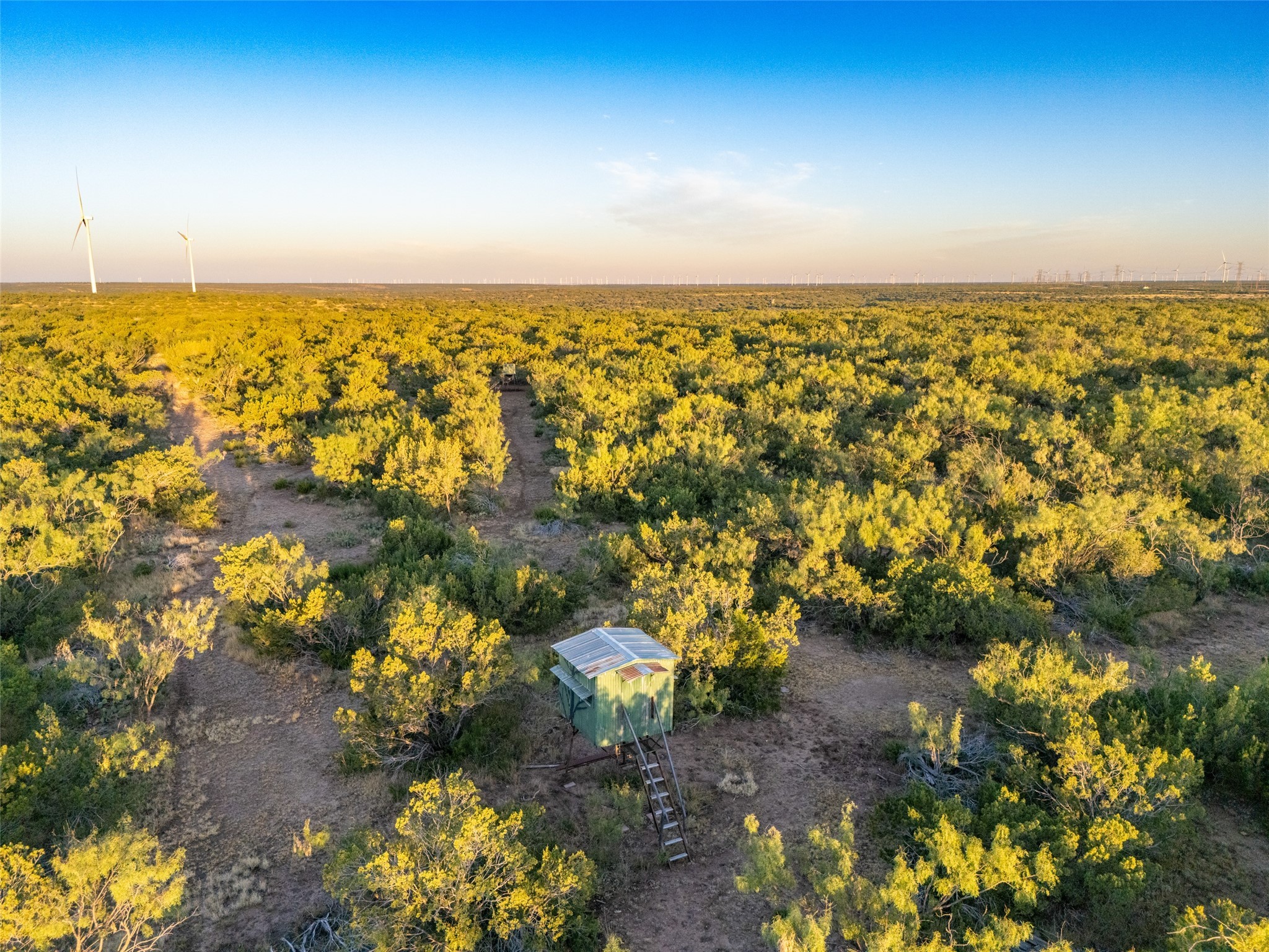 Tbd Walnut Road Robert Lee TX 76945