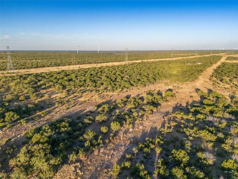 Tbd Walnut Road Robert Lee TX 76945