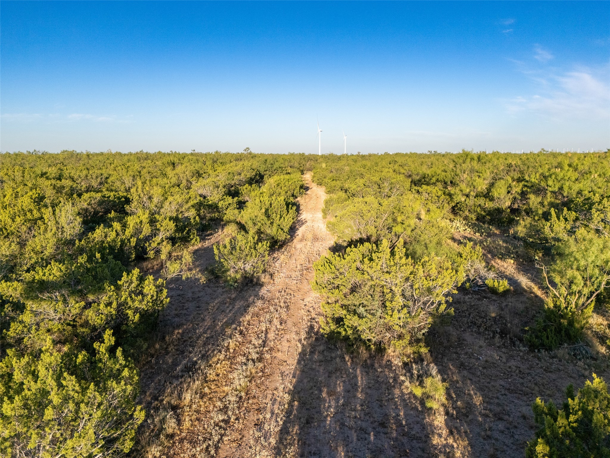 Tbd Walnut Road Robert Lee TX 76945