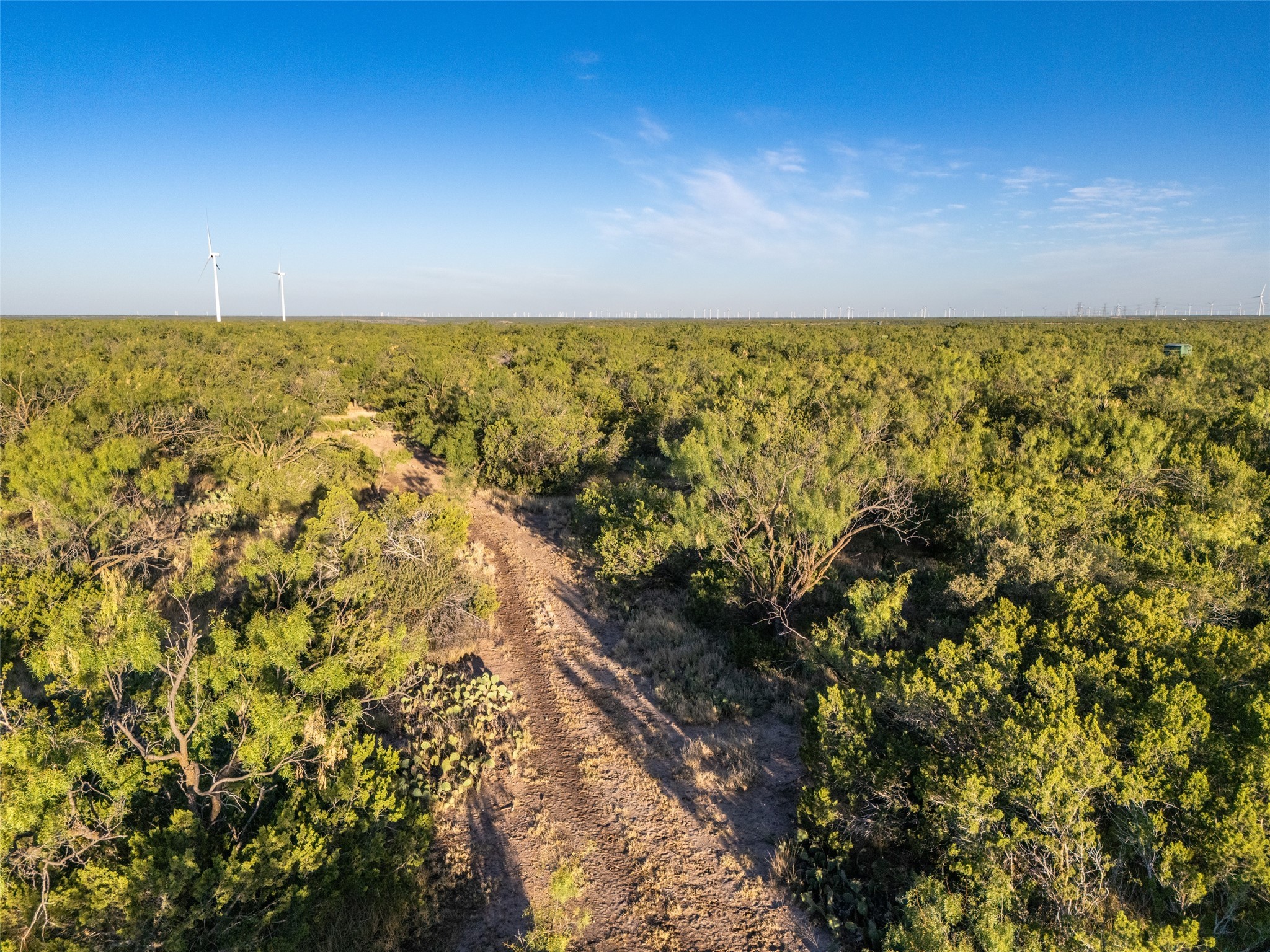 Tbd Walnut Road Robert Lee TX 76945