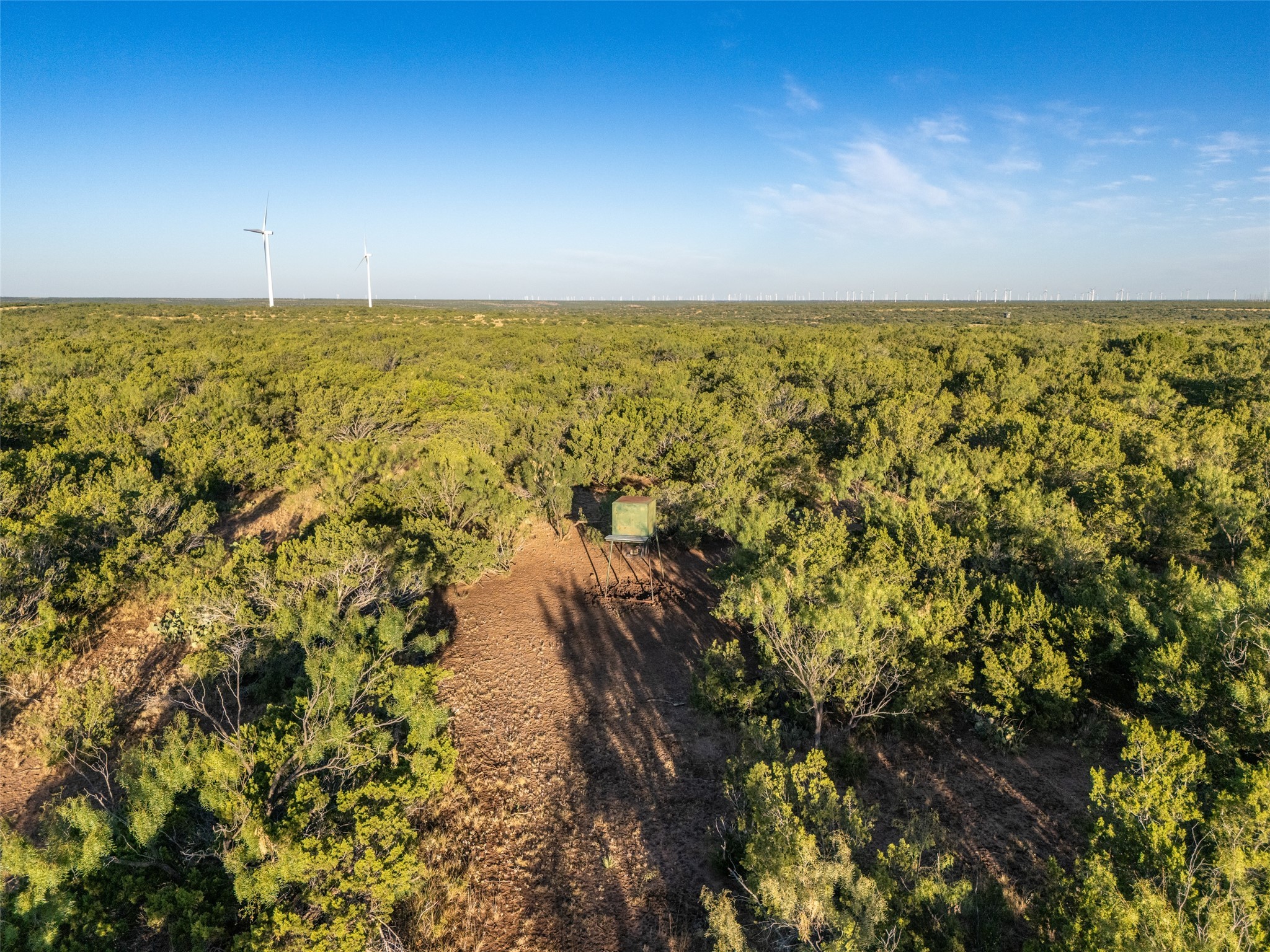 Tbd Walnut Road Robert Lee TX 76945