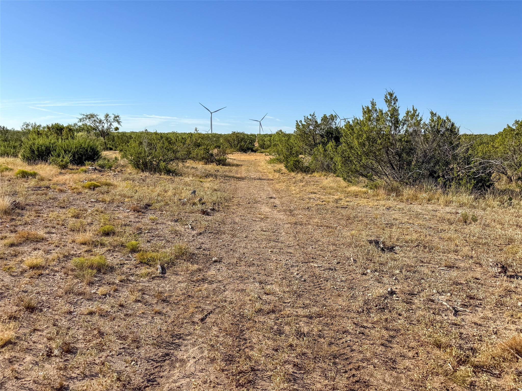 Tbd Walnut Road Robert Lee TX 76945