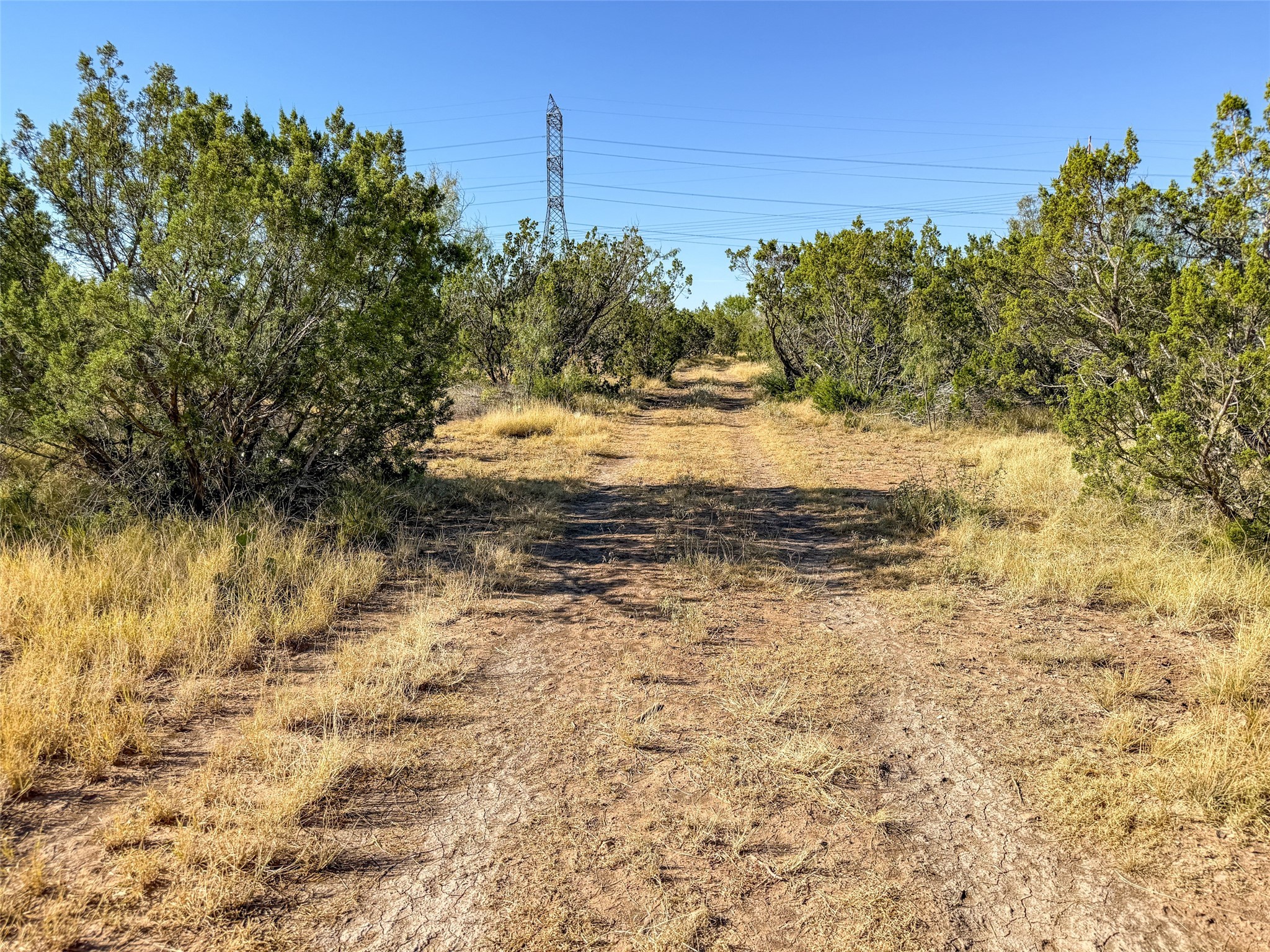 Tbd Walnut Road Robert Lee TX 76945