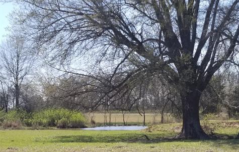 0 Farm Road 1502 Detroit TX 75436