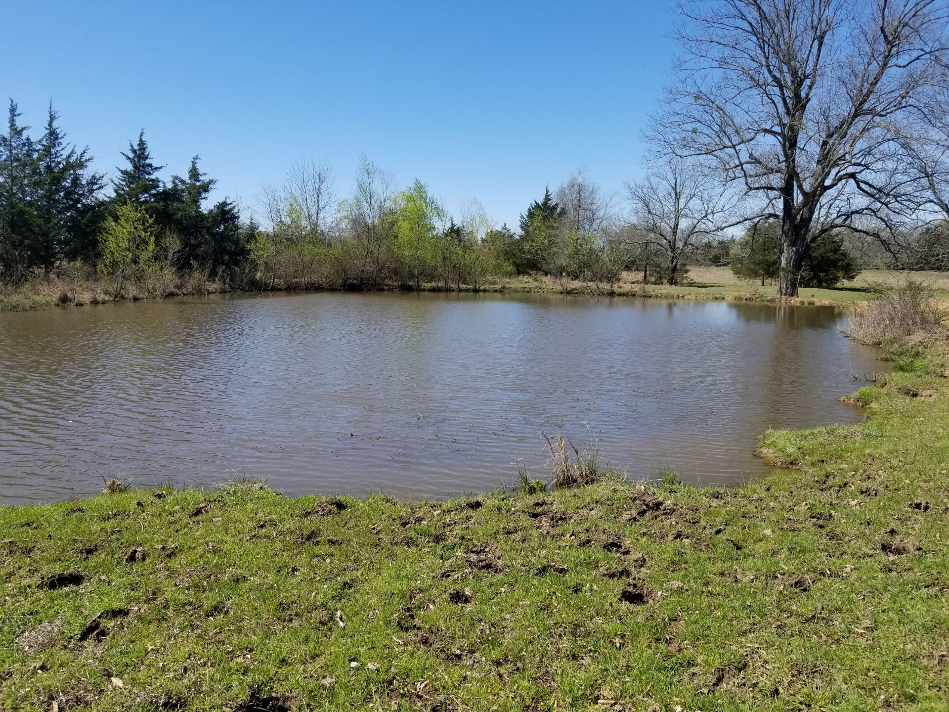 0000 Farm Road 1502 Detroit TX 75436