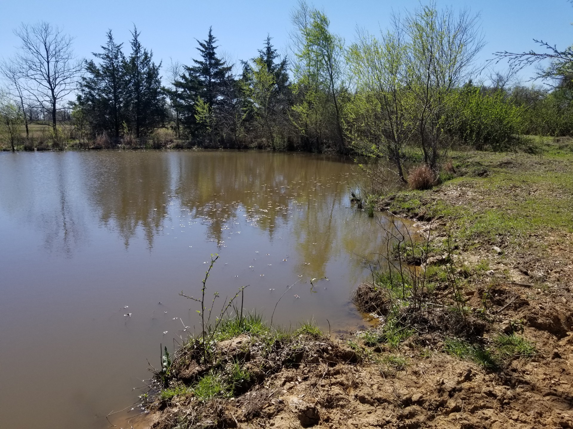 0000 Farm Road 1502 Detroit TX 75436