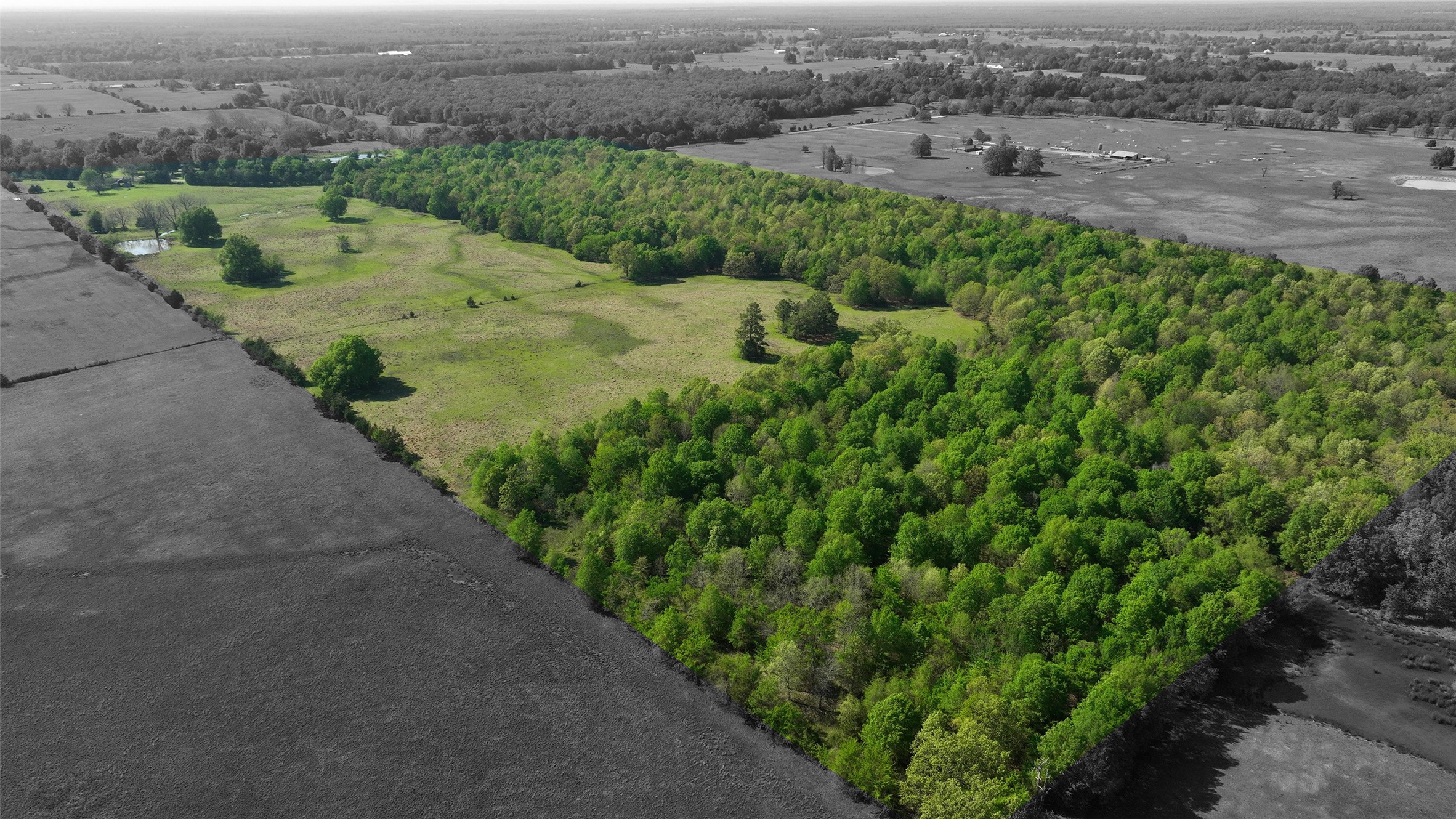 0000 Farm Road 1502 Detroit TX 75436