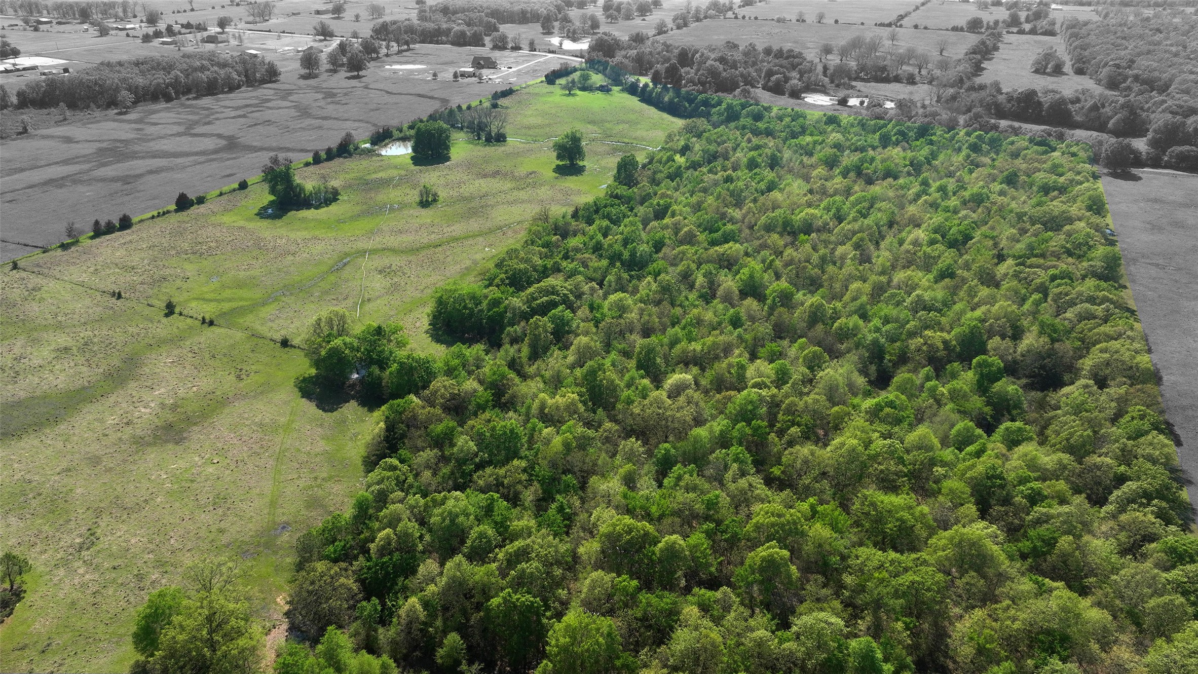 0000 Farm Road 1502 Detroit TX 75436