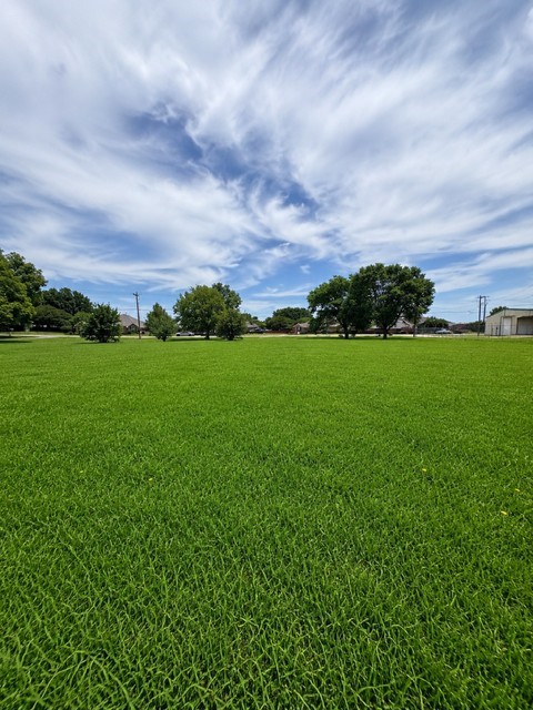 11001 Windy Lane Forney TX 75126