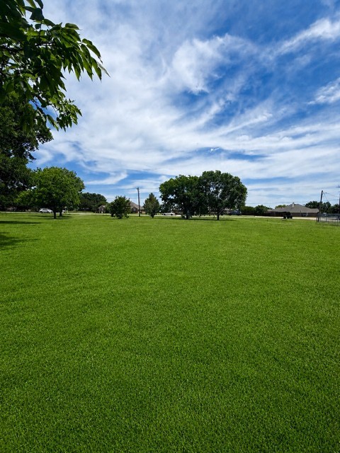 11001 Windy Lane Forney TX 75126