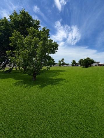 11001 Windy Lane Forney TX 75126