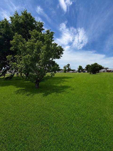 11001 Windy Lane Forney TX 75126