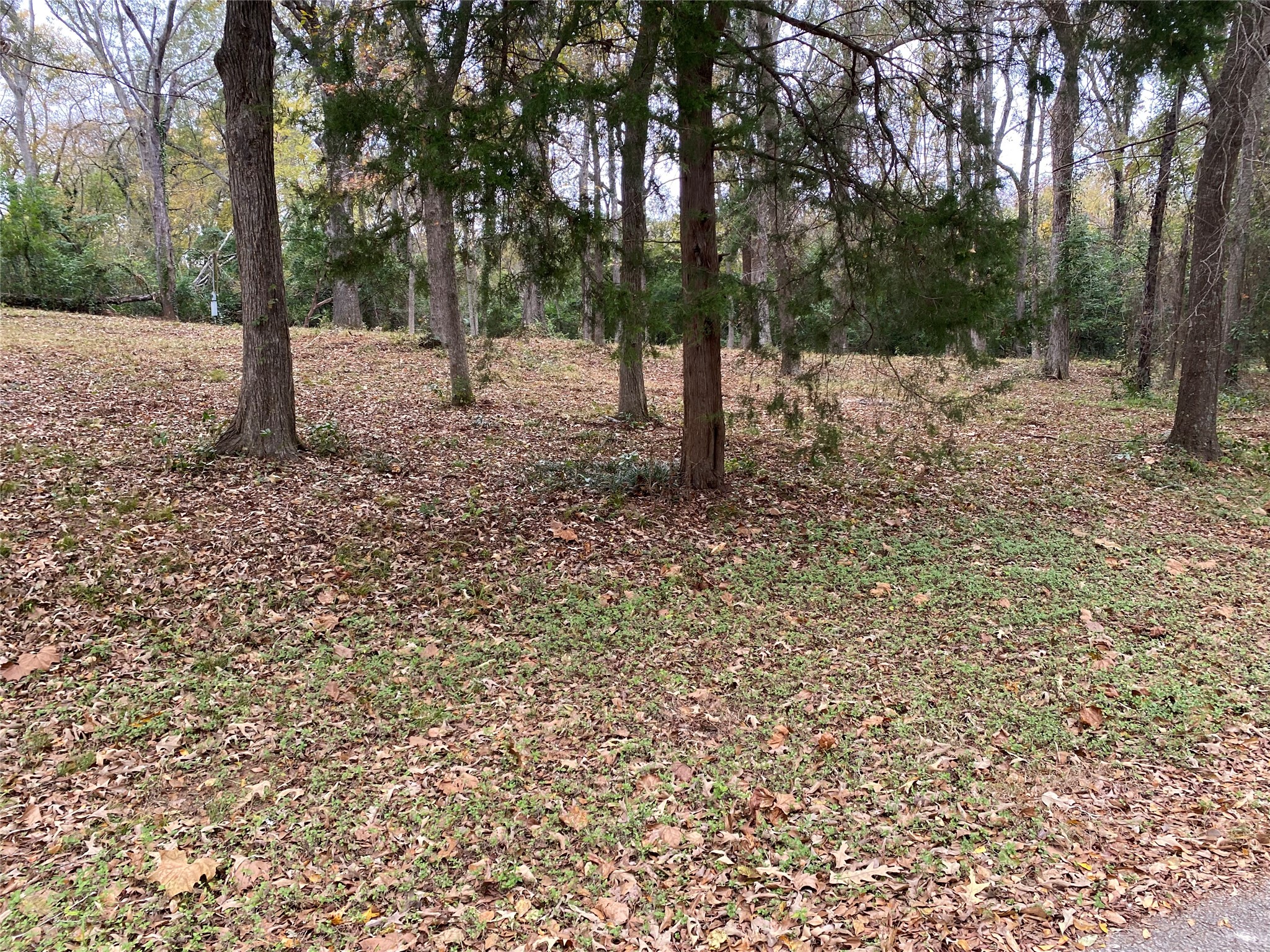 101 Lakeside Drive Palestine TX 75801