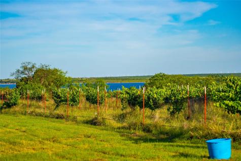 15051 Lake Ivie Drive Millersview TX 76862