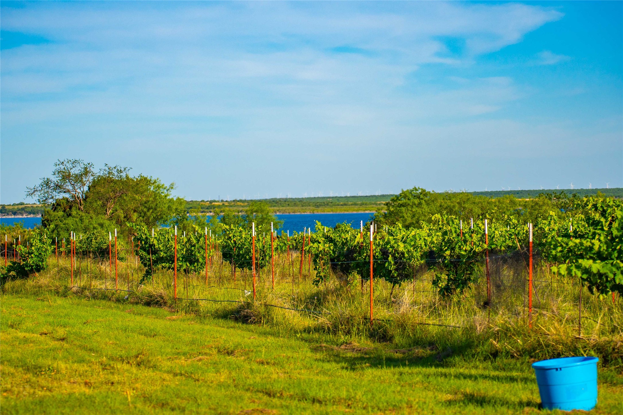 15051 Lake Ivie Drive Paint Rock TX 76862