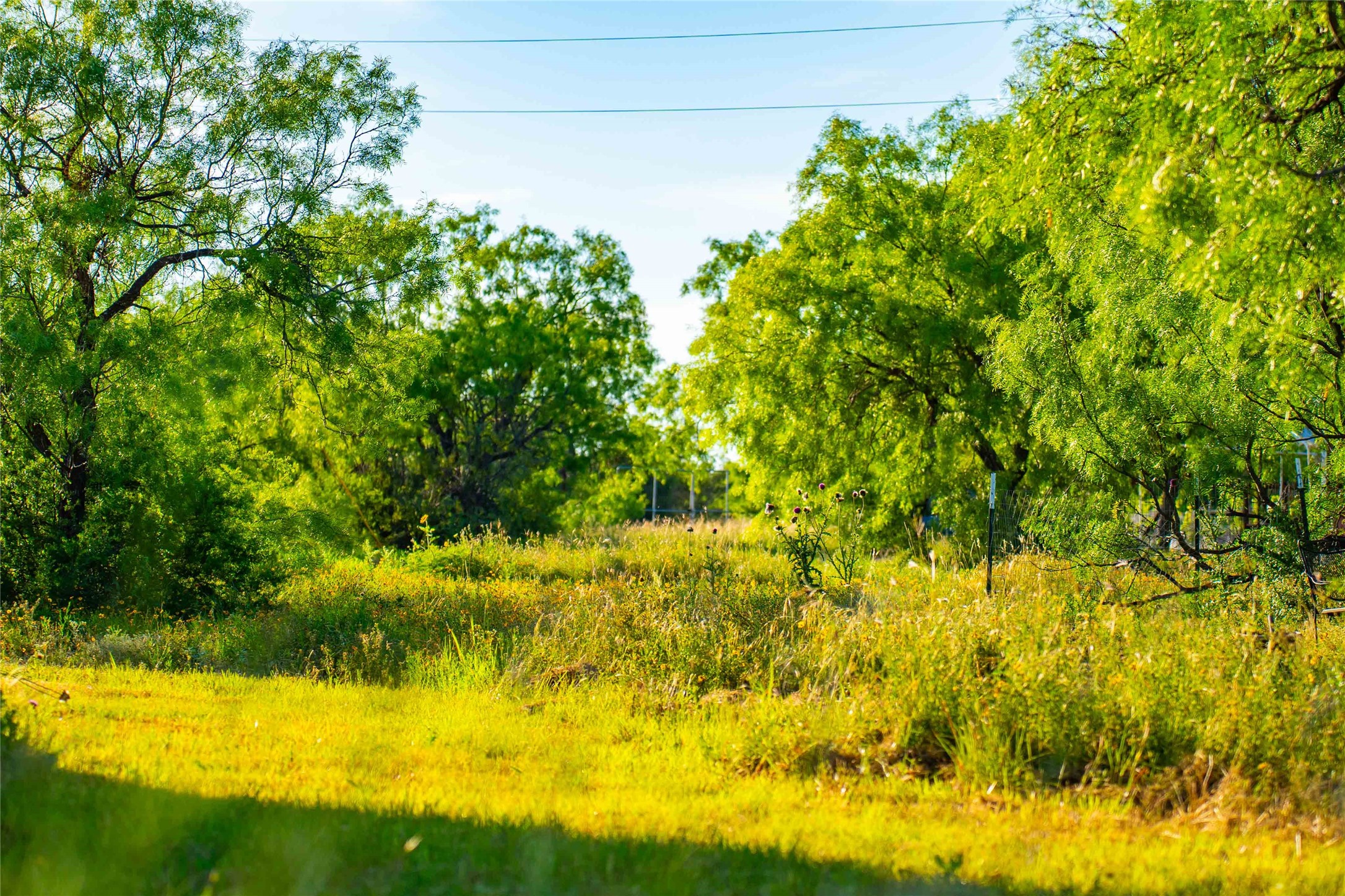 15051 Lake Ivie Drive Paint Rock TX 76862