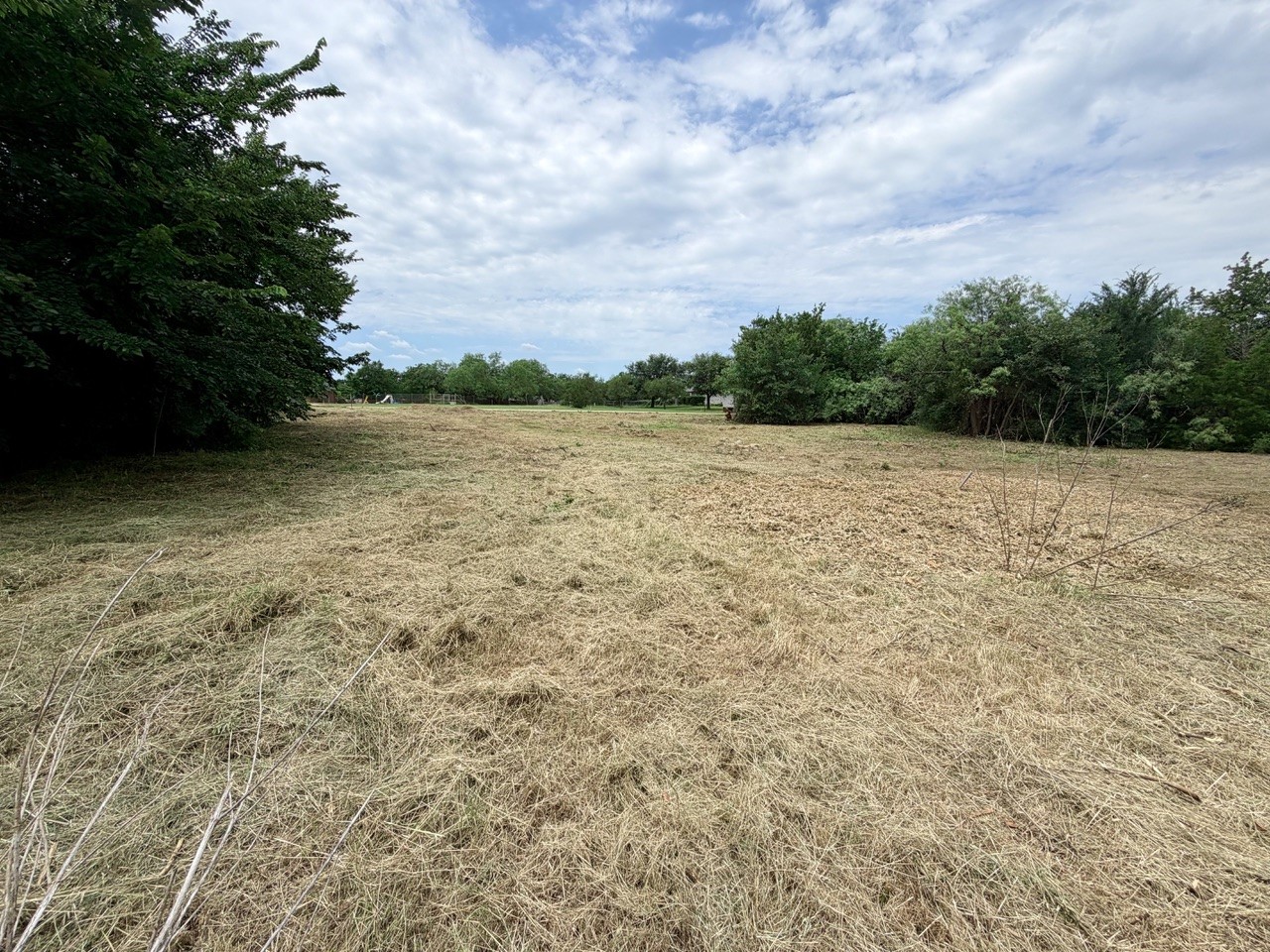 204 Willow Creek Court Mansfield TX 76063