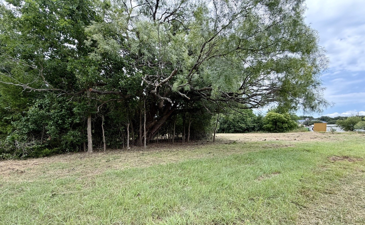 204 Willow Creek Court Mansfield TX 76063