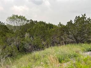 1083 Cedar Hill Drive Nemo TX 76070