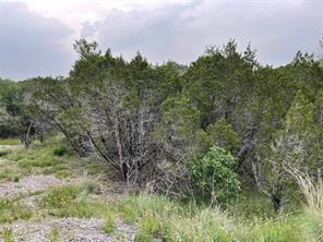 1083 Cedar Hill Drive Nemo TX 76070