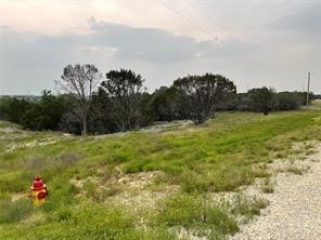 1083 Cedar Hill Drive Nemo TX 76070
