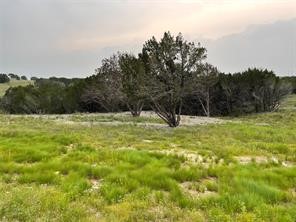 1083 Cedar Hill Drive Nemo TX 76070