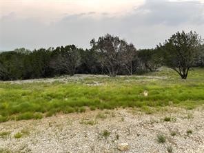 1083 Cedar Hill Drive Nemo TX 76070