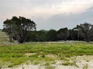 1083 Cedar Hill Drive Nemo TX 76070