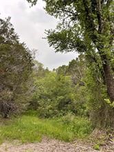 1083 Cedar Hill Drive Nemo TX 76070