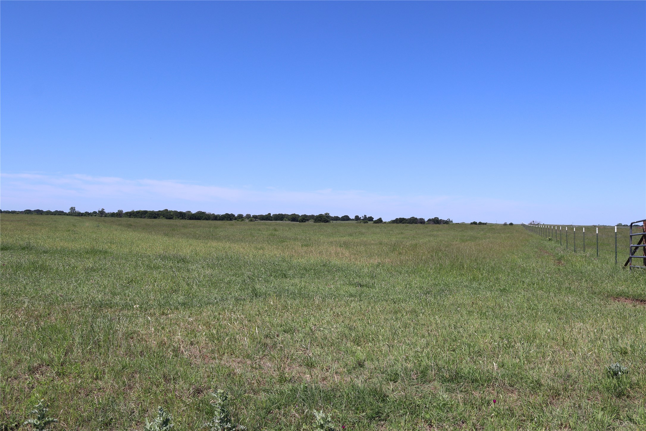 80 Acres South Deer Creek Road Henrietta TX 76365