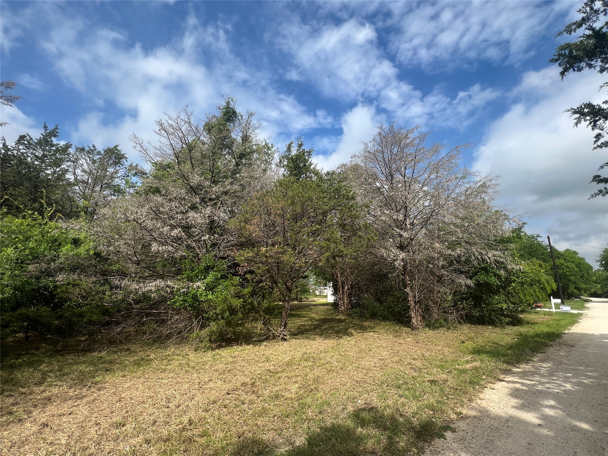 L194-195 NW County Road 3112 Purdon TX 76679