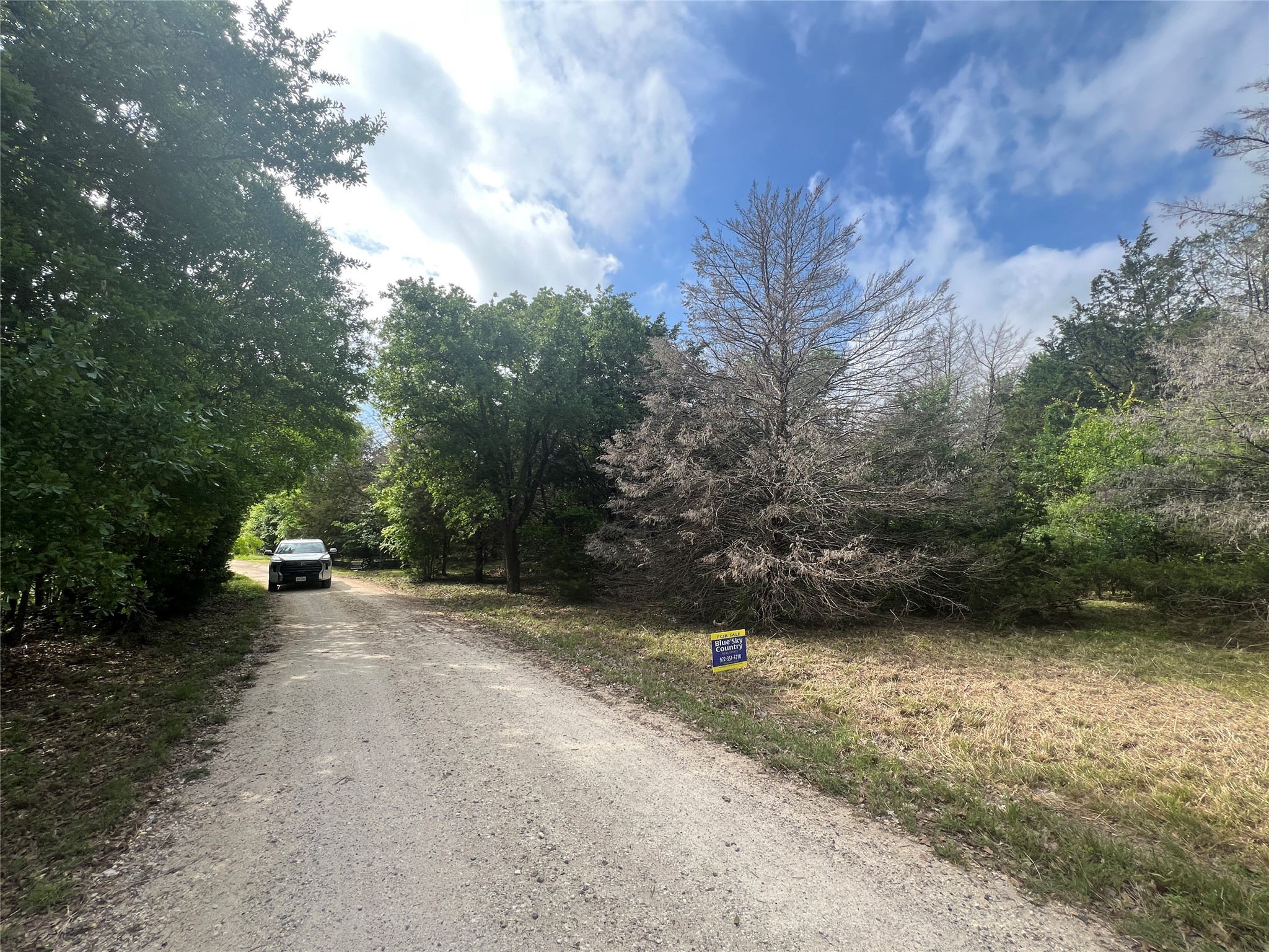 L194-195 NW County Road 3112 Purdon TX 76679