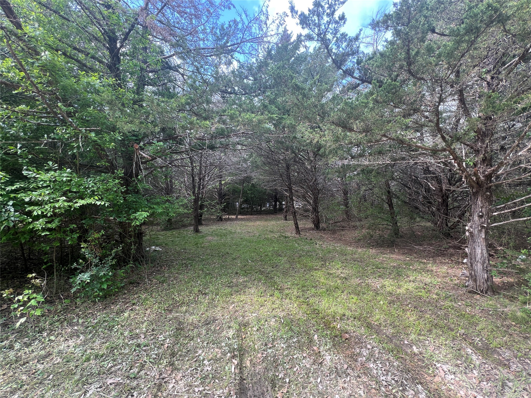 L194-195 NW County Road 3112 Purdon TX 76679