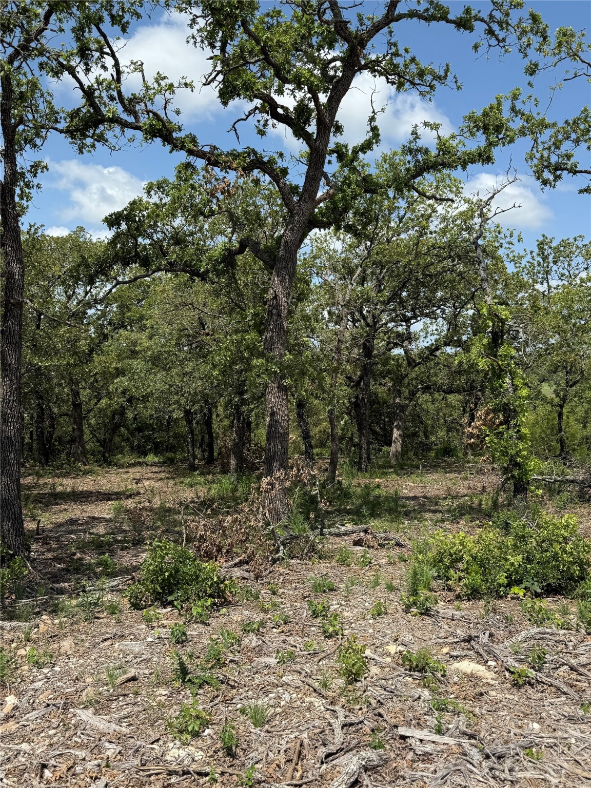 Tbd Red Oak Hills Nocona TX 76255