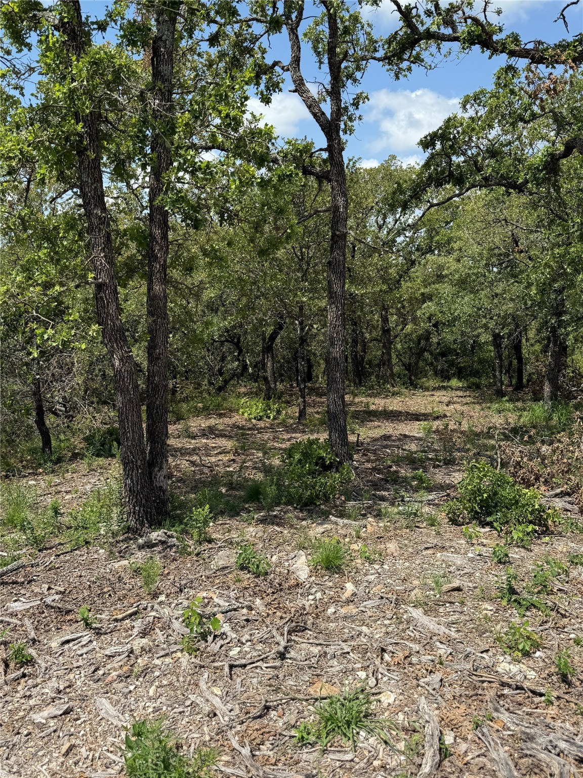 Tbd Red Oak Hills Nocona TX 76255