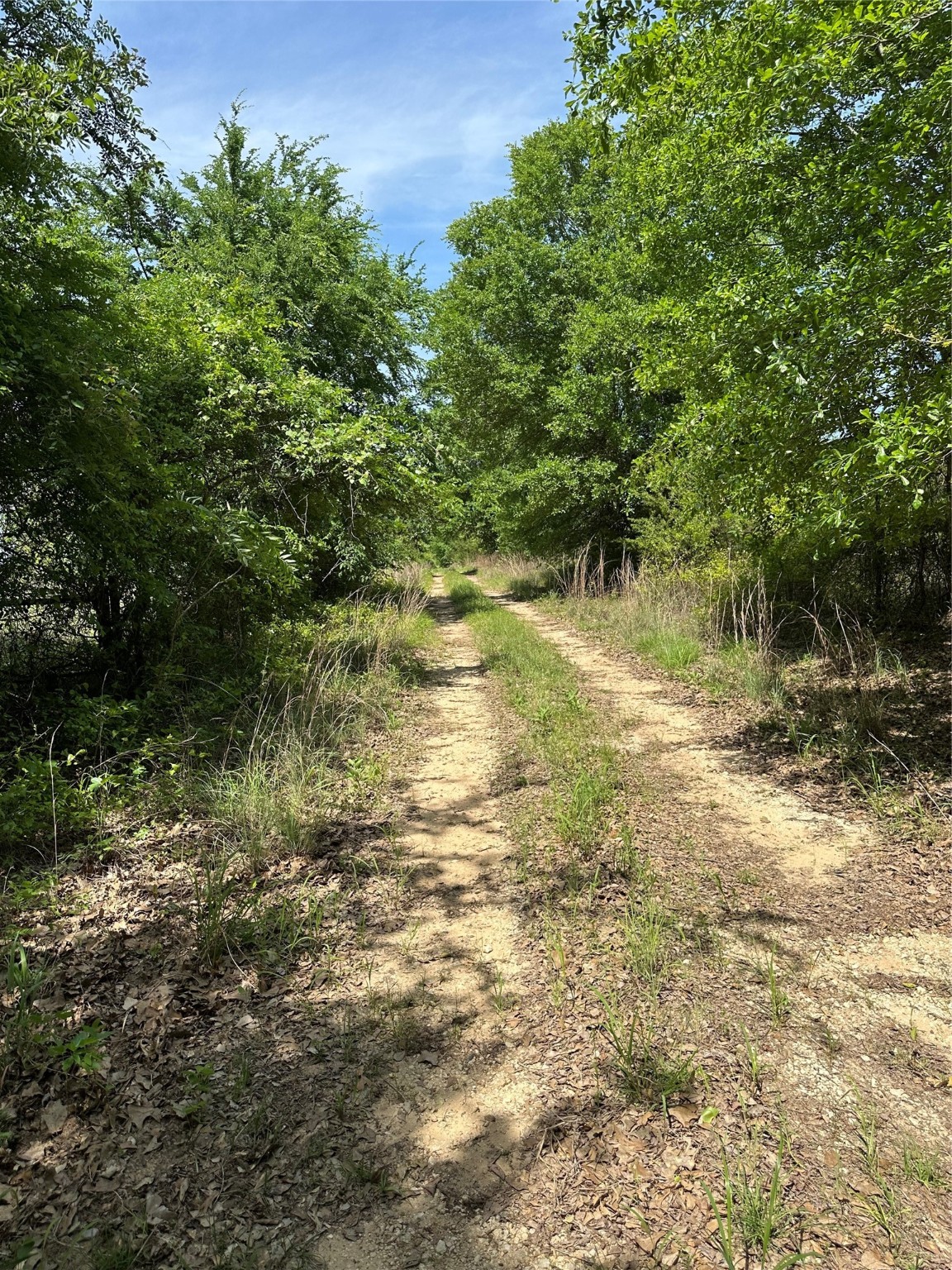Tbd Spur 935 Teague TX 75860