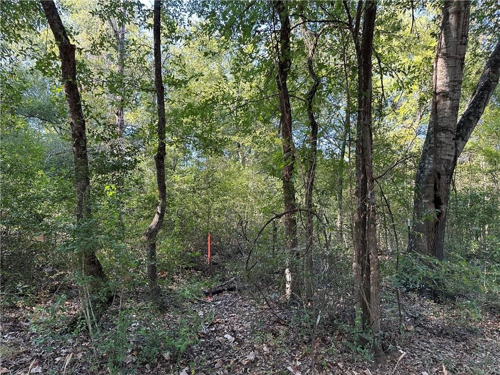 Tbd Spur 935 Teague TX 75860