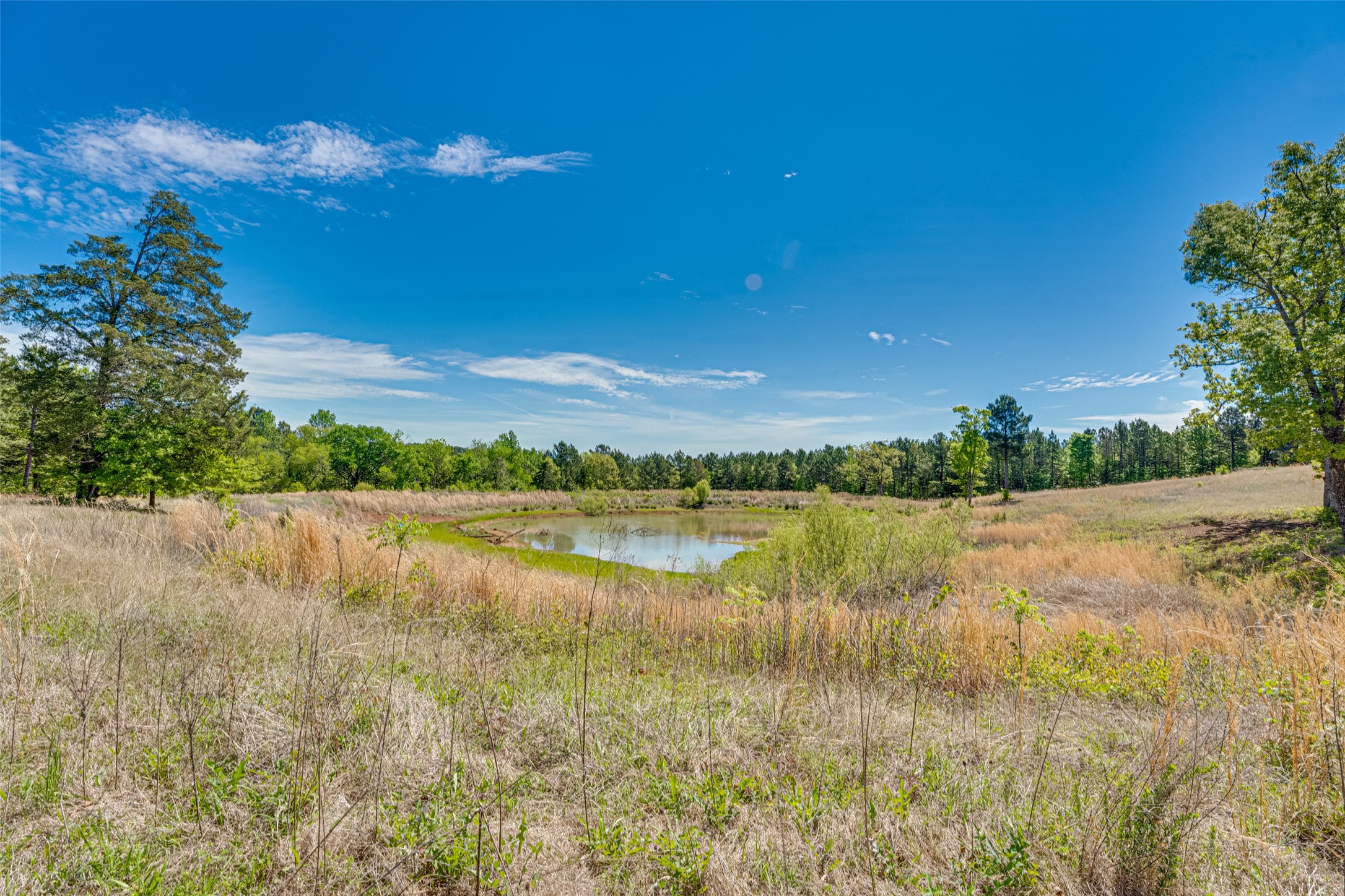 11088 County Road 334 Tyler TX 75708