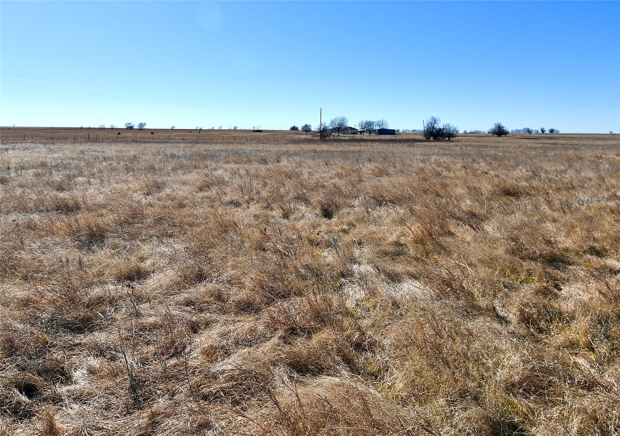 000 County Road 312 Gainesville TX 76240