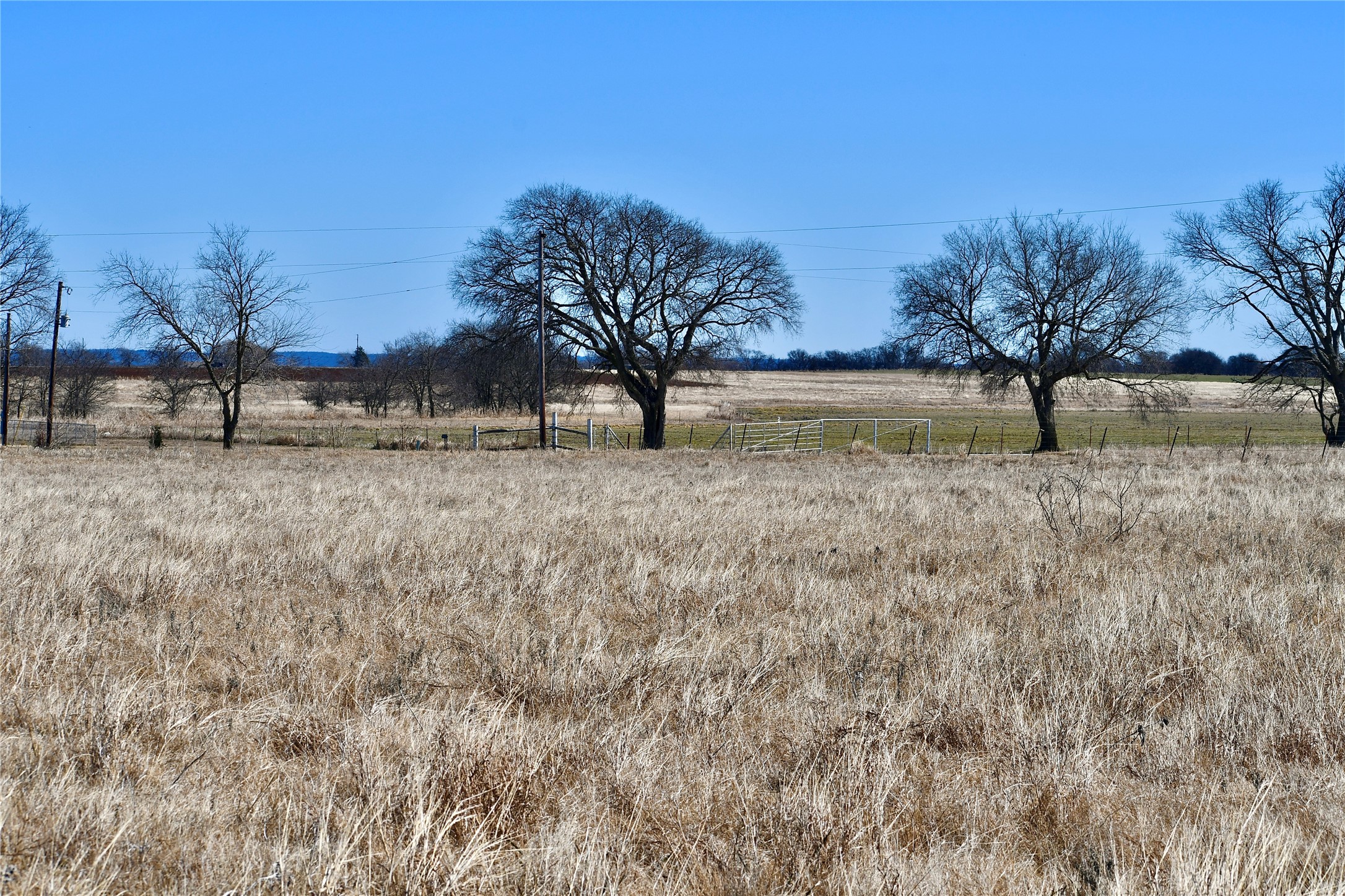 000 County Road 312 Gainesville TX 76240