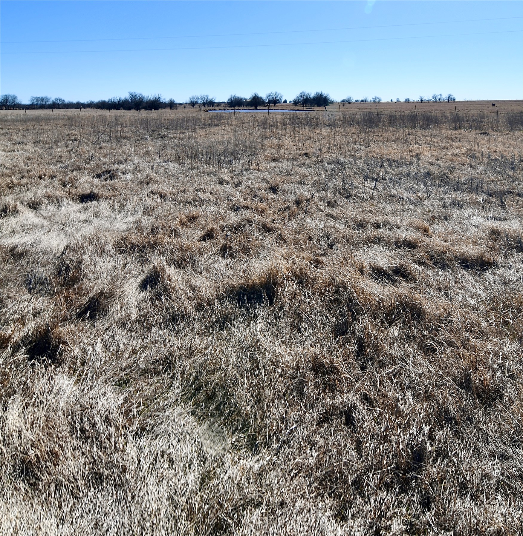 000 County Road 312 Gainesville TX 76240