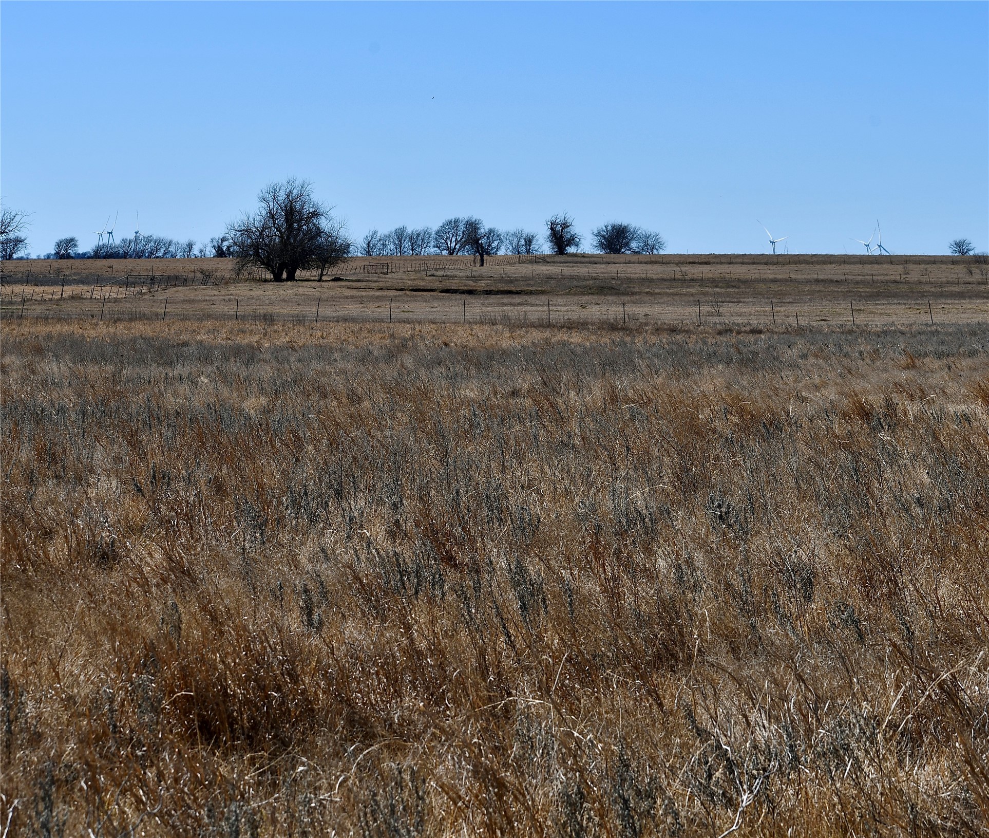000 County Road 312 Gainesville TX 76240