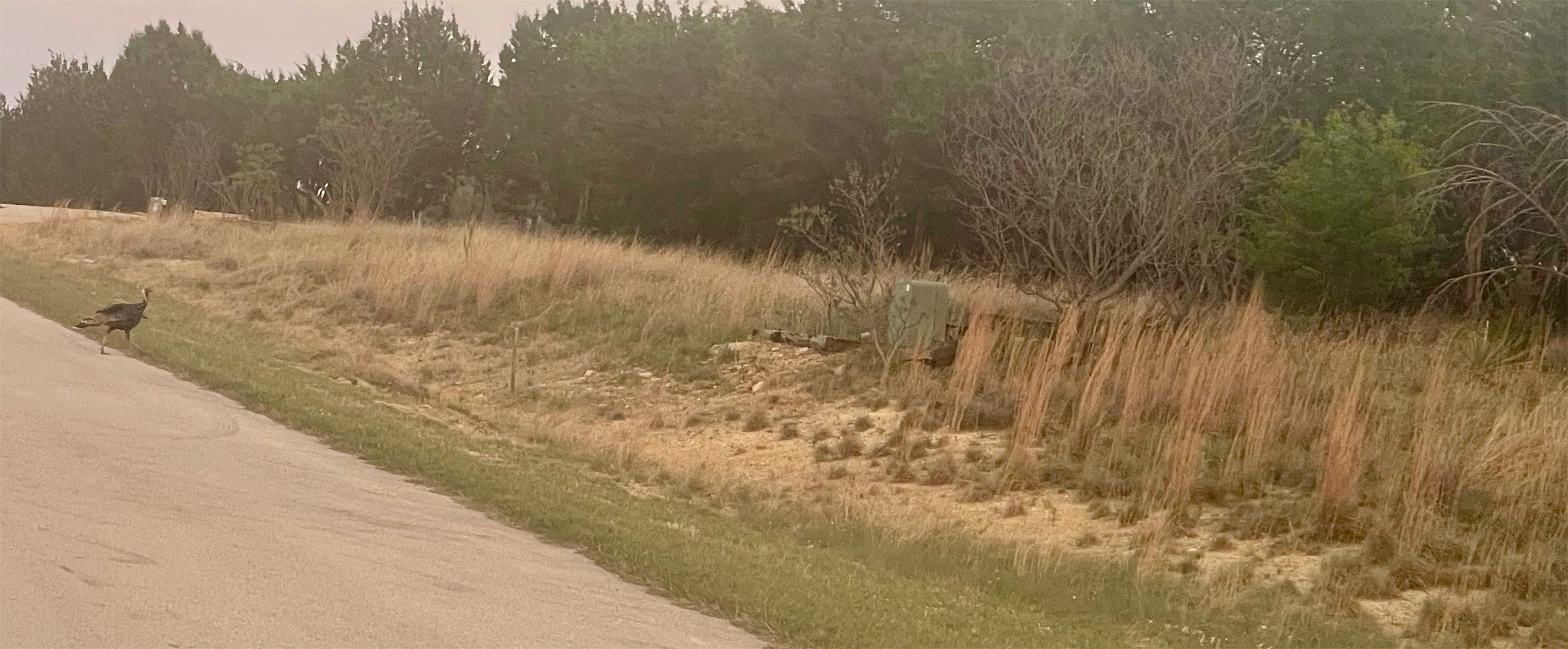LOT616 Caprock Court Possum Kingdom Lake TX 76449