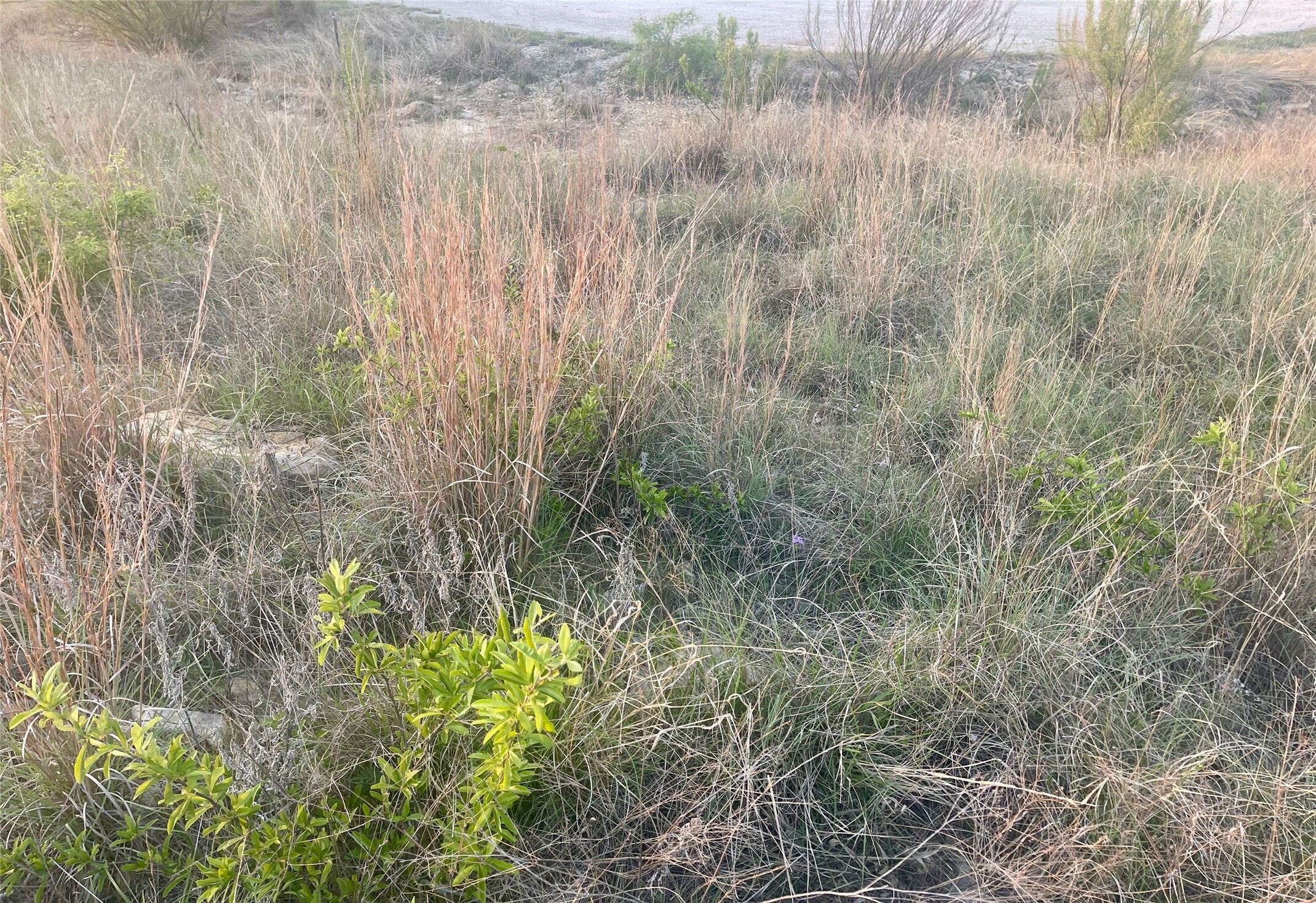 LOT616 Caprock Court Possum Kingdom Lake TX 76449