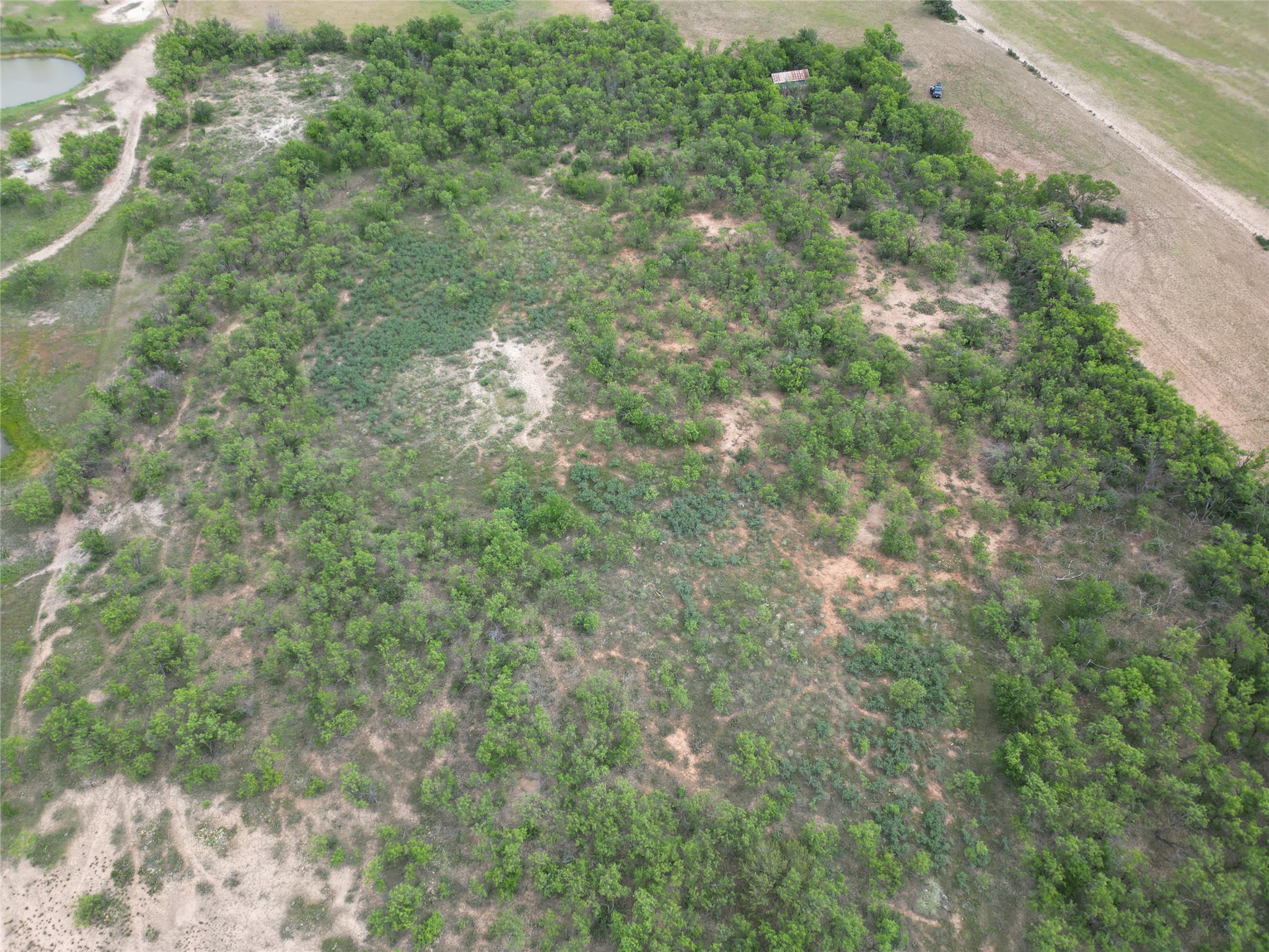 Tbd County Road 503 Abilene TX 79601